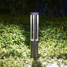 草坪花園中的花瓣采集與草坪燈的藝術融合